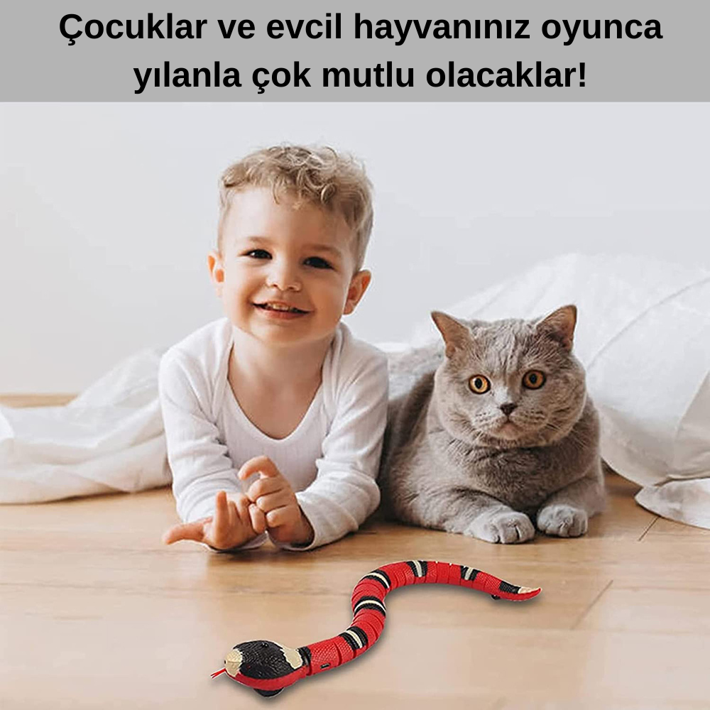 Kedi Kovalama Yılanı