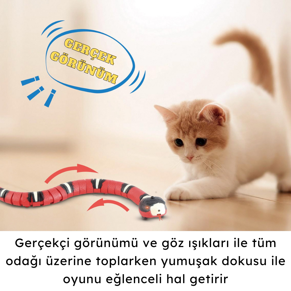 Kedi Kovalama Yılanı