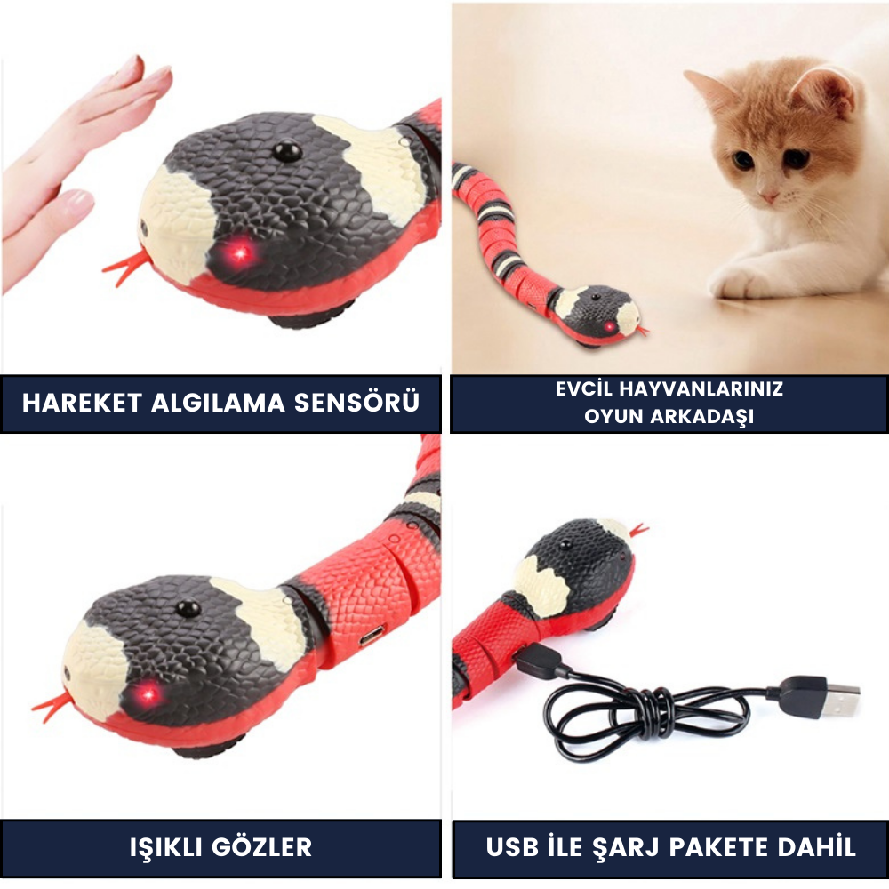 Kedi Kovalama Yılanı