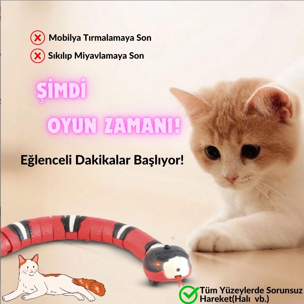 Kedi Kovalama Yılanı